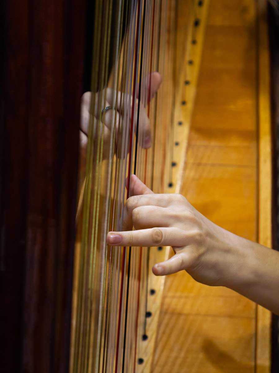 image of harp